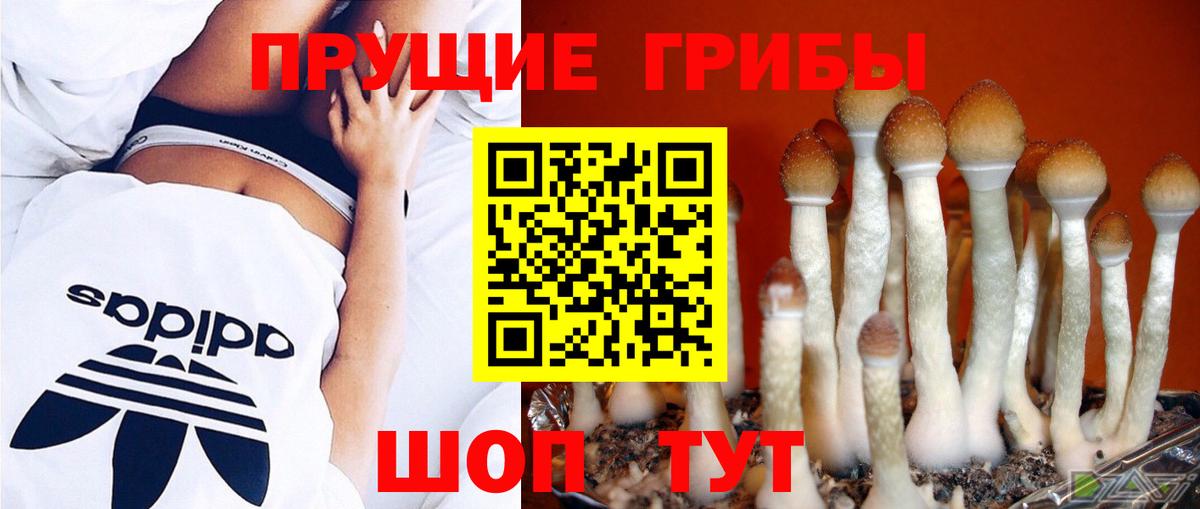 Галлюциногенные грибы прущие грибы  Галлюциногенные грибы мухоморы  Вход с VPN  Курчатов 